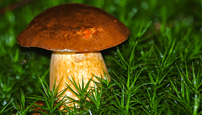  width=