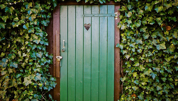  width=